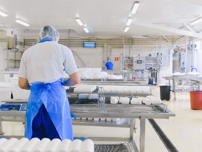 Lyst, rent fødevareproduktionsanlæg